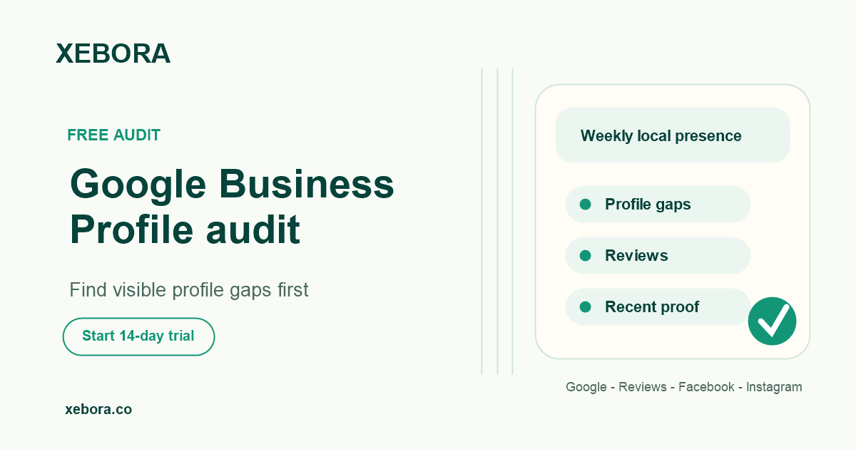 Salon Google profile audit results before starting Xebora
